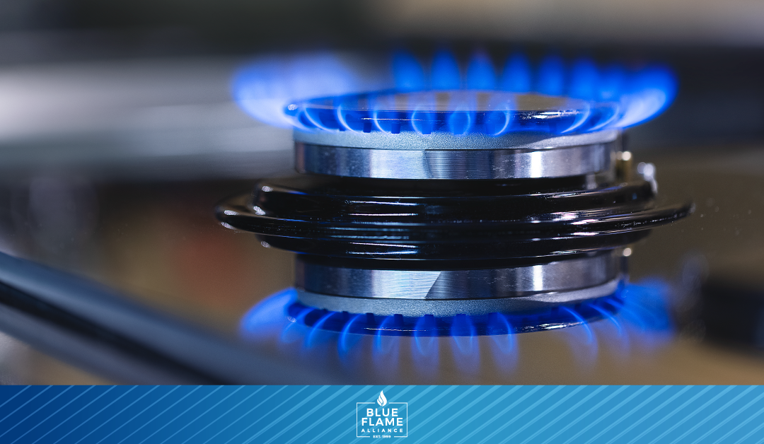 Facts about natural gas